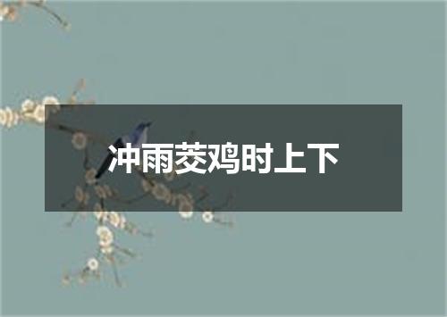 冲雨茭鸡时上下