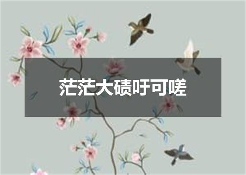 茫茫大碛吁可嗟