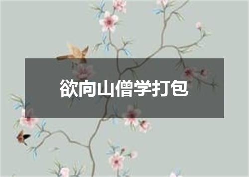 欲向山僧学打包