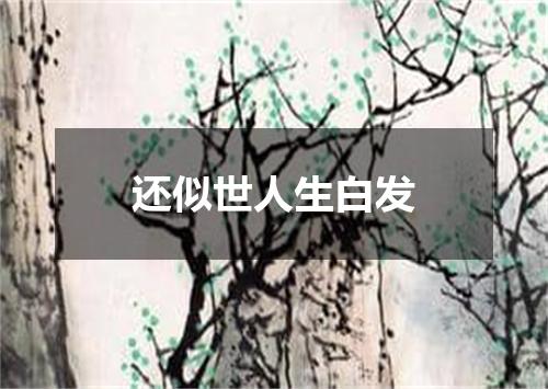 还似世人生白发