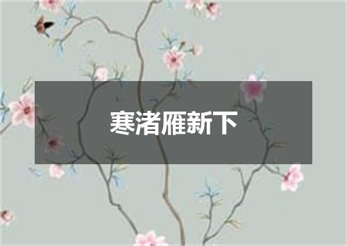 寒渚雁新下