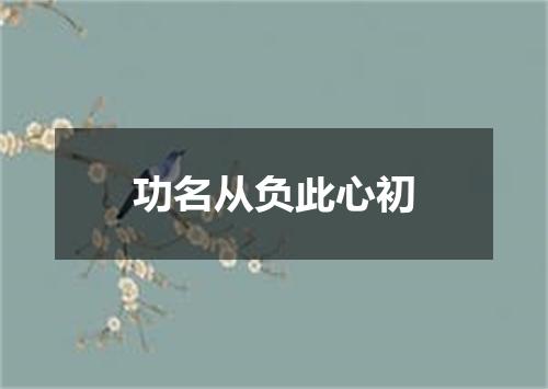 功名从负此心初