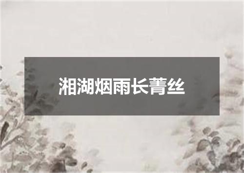 湘湖烟雨长菁丝