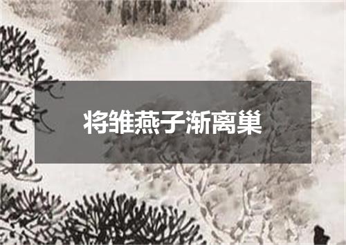 将雏燕子渐离巢