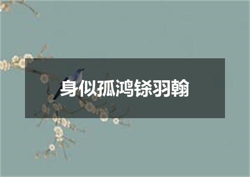 身似孤鸿铩羽翰