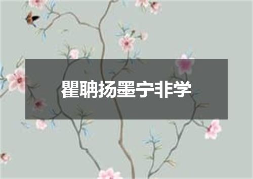 瞿聃扬墨宁非学