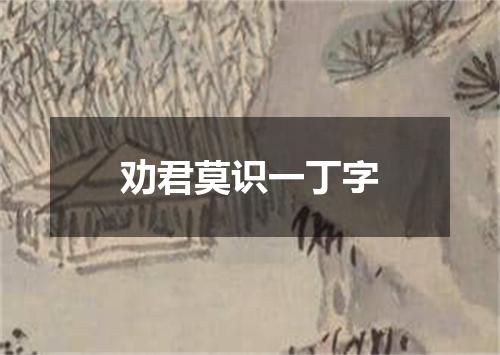 劝君莫识一丁字