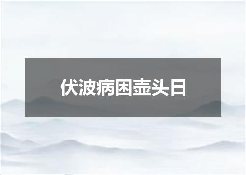 伏波病困壶头日