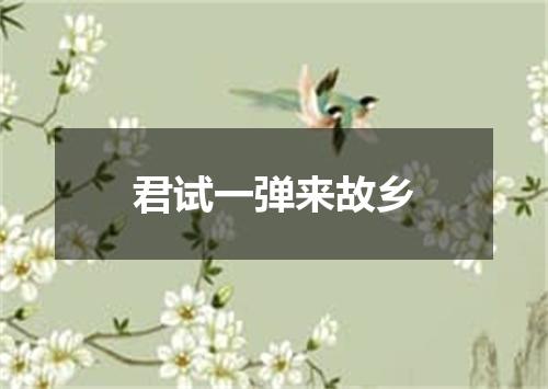 君试一弹来故乡