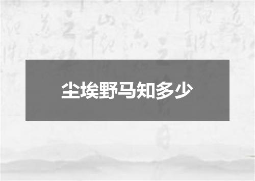 尘埃野马知多少