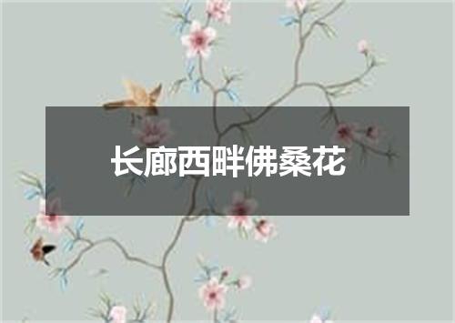 长廊西畔佛桑花