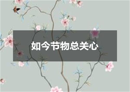 如今节物总关心