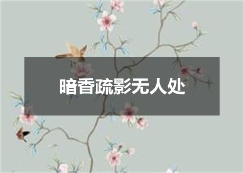 暗香疏影无人处