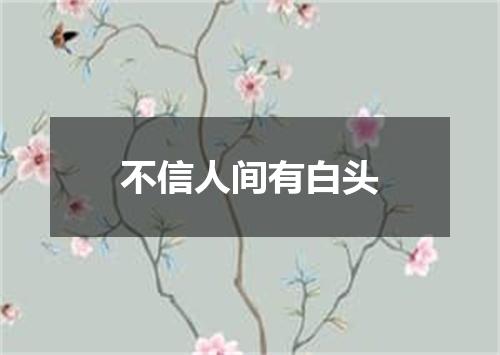 不信人间有白头