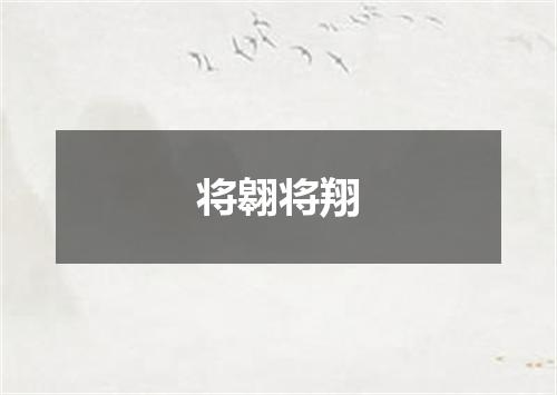 将翱将翔