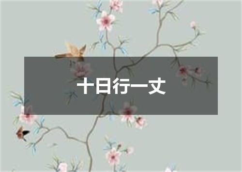 十日行一丈