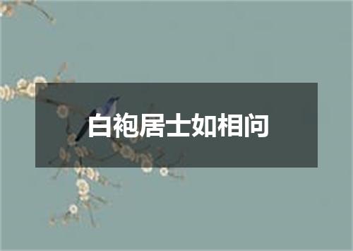 白袍居士如相问