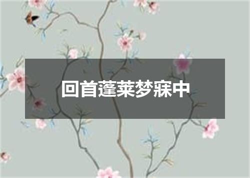 回首蓬莱梦寐中