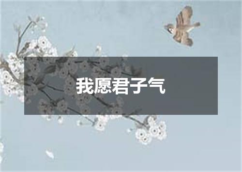 我愿君子气