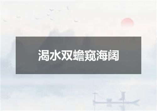 渴水双蟾窥海阔