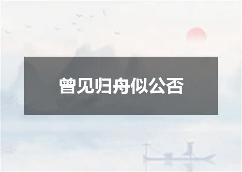 曾见归舟似公否