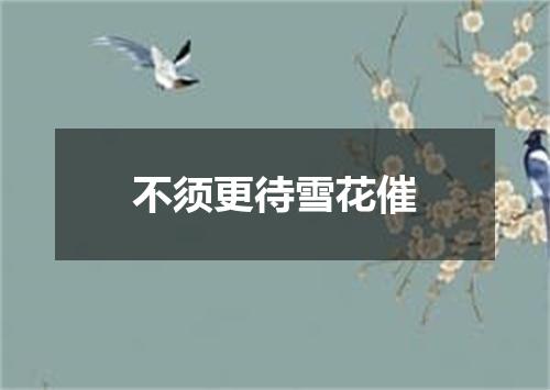 不须更待雪花催