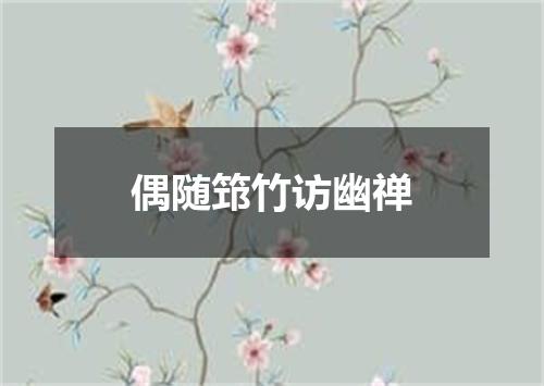 偶随筇竹访幽禅