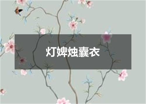 灯婢烛囊衣