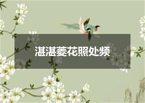 湛湛菱花照处频