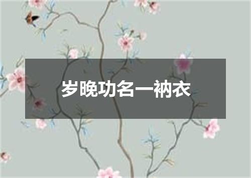 岁晚功名一衲衣