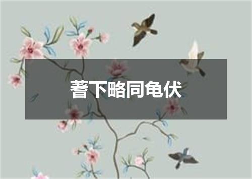 蓍下略同龟伏