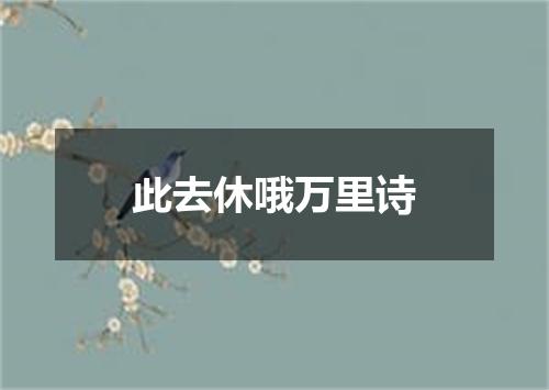 此去休哦万里诗