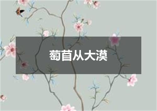 萄苜从大漠