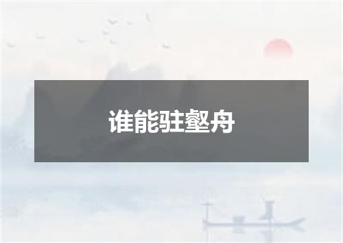 谁能驻壑舟