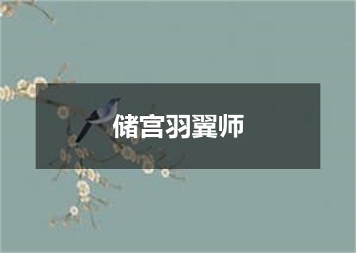 储宫羽翼师