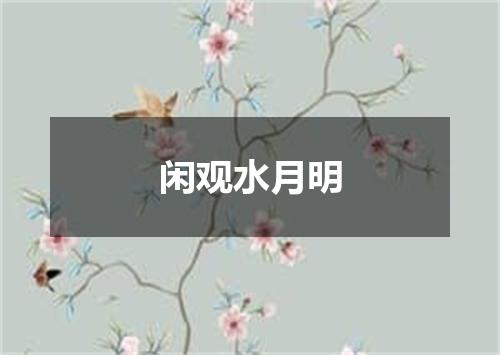 闲观水月明