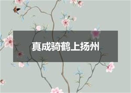 真成骑鹤上扬州