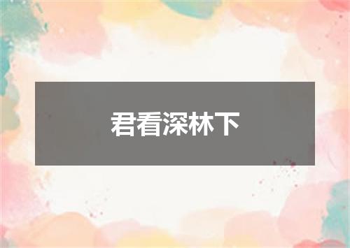 君看深林下