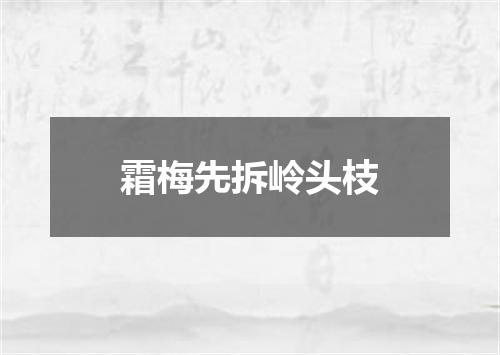 霜梅先拆岭头枝