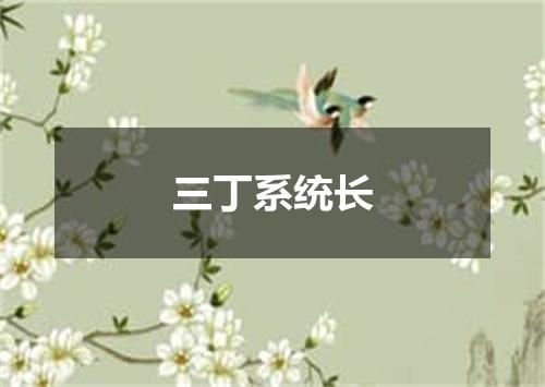 三丁系统长