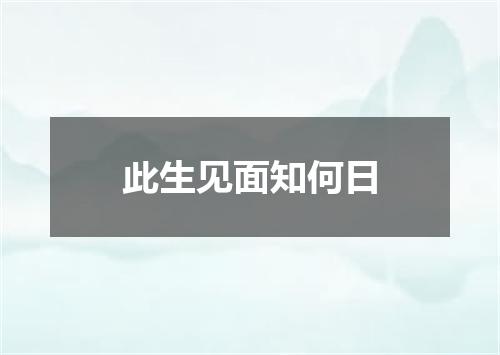 此生见面知何日