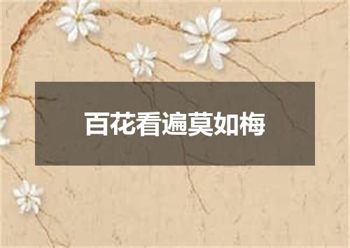 百花看遍莫如梅