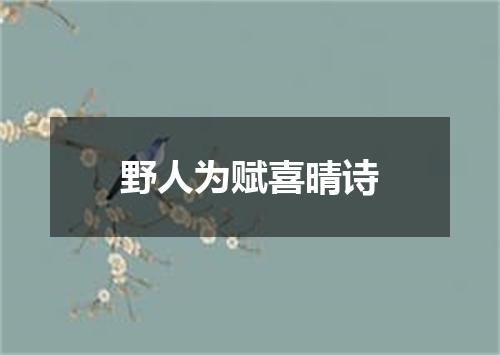 野人为赋喜晴诗