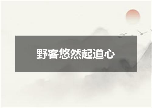 野客悠然起道心