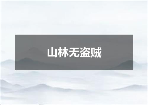 山林无盗贼