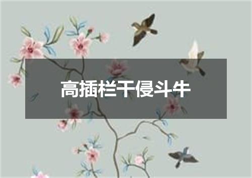 高插栏干侵斗牛