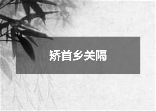 矫首乡关隔