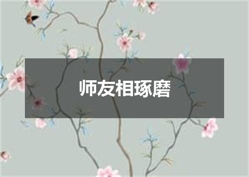 师友相琢磨