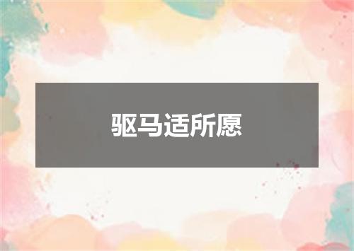 驱马适所愿