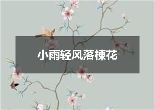 小雨轻风落楝花